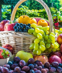 Fruit Baskets